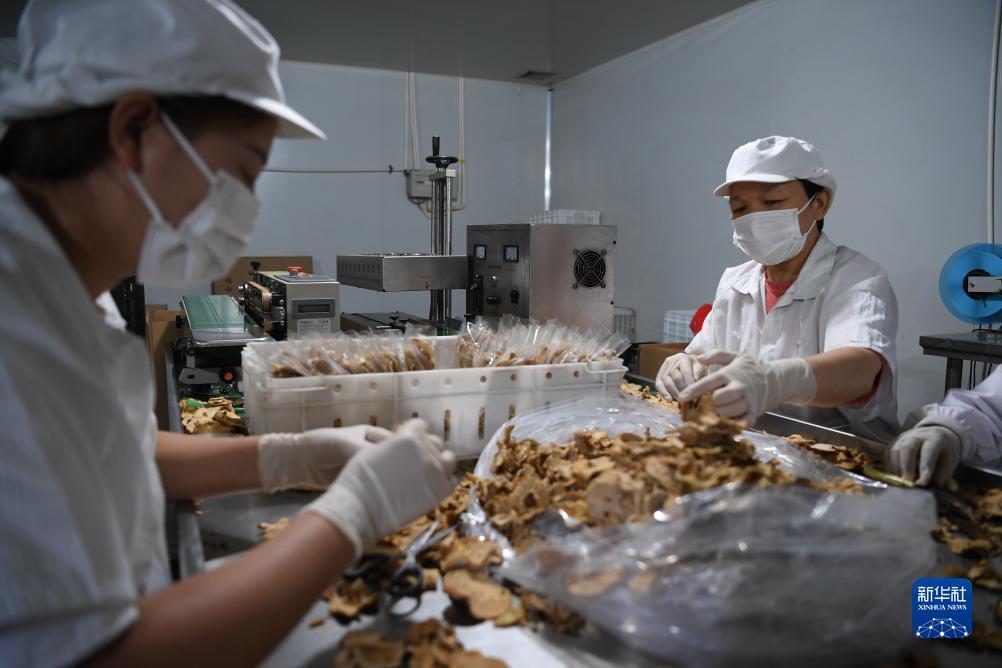 网上现金捕
